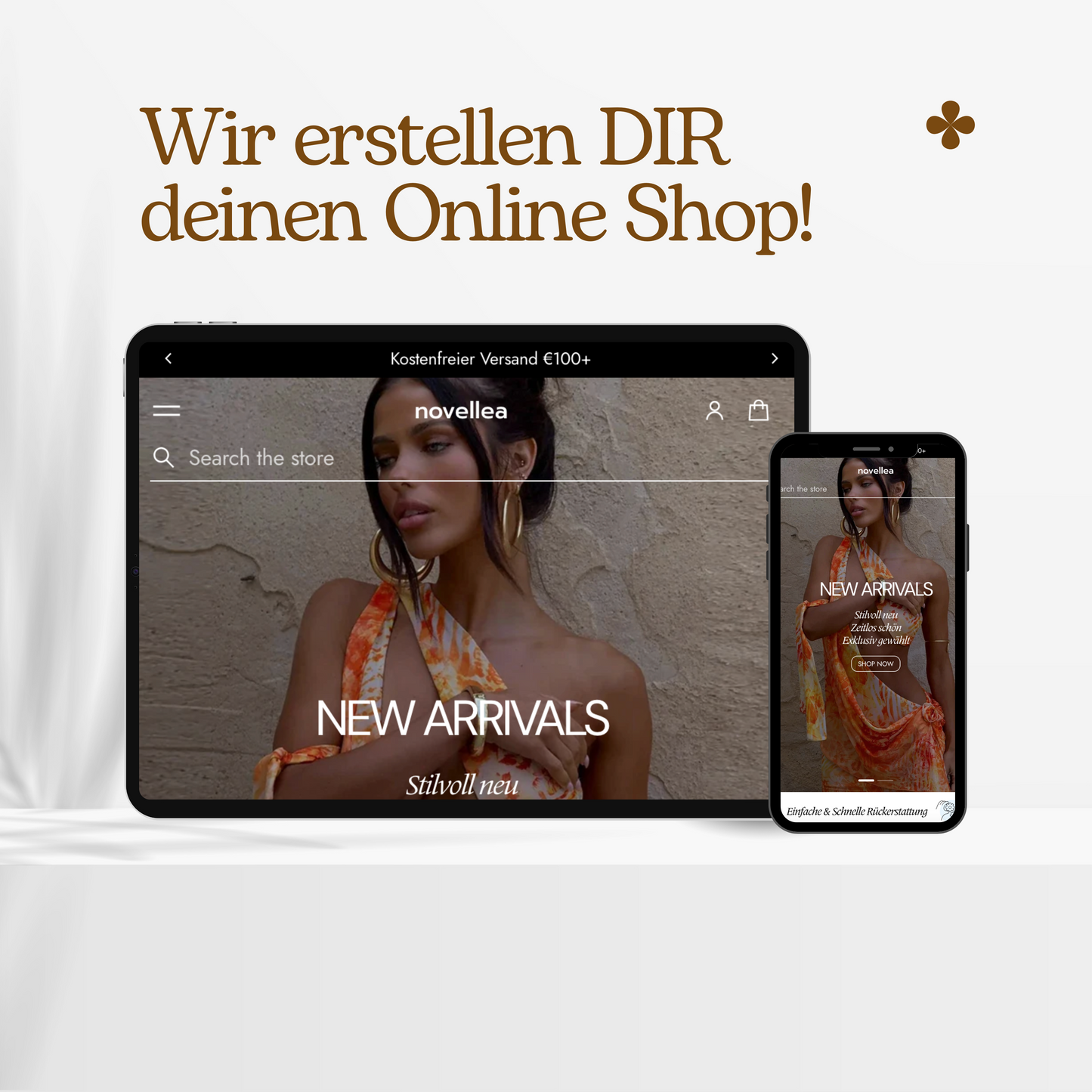 Individueller Dropshipping Shop