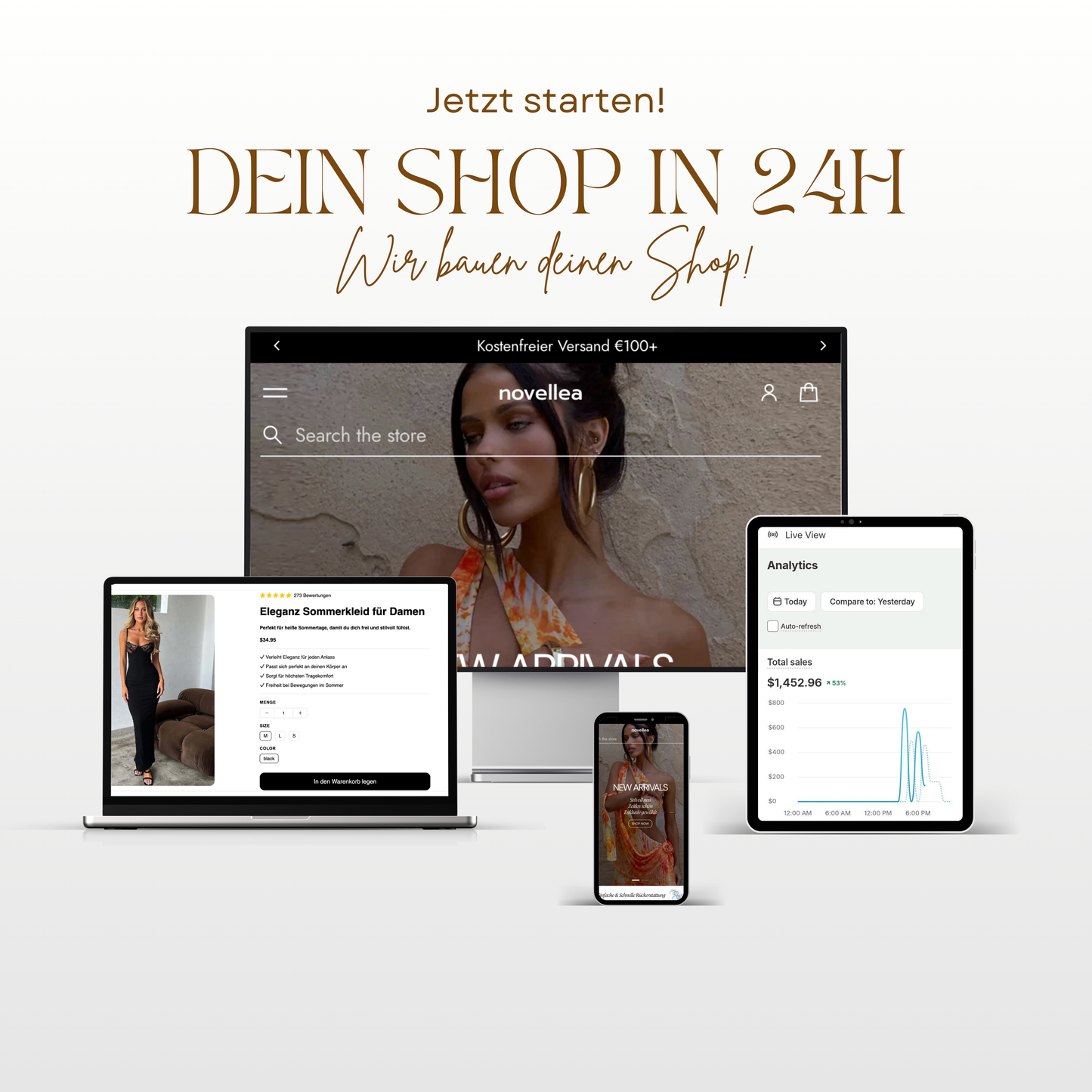 Individueller Dropshipping Shop